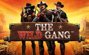 The Wild Gang